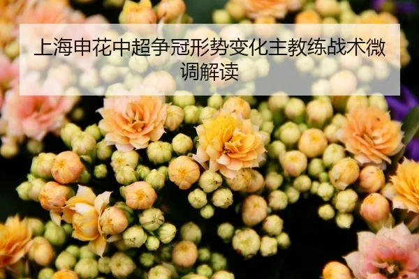 上海申花中超争冠形势变化主教练战术微调解读